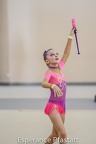 img 0242