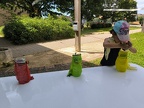 IMG 20240709 121819